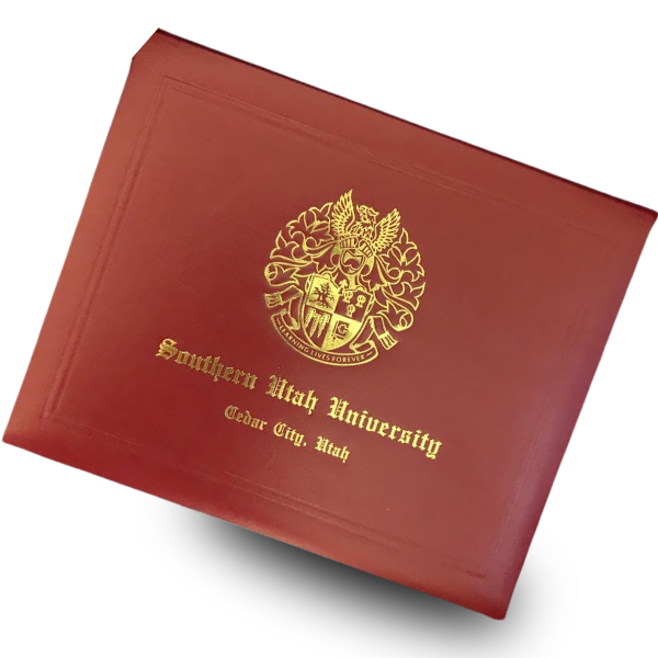 Bachelors of Science in Marketing