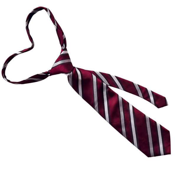 Zipper Tie
